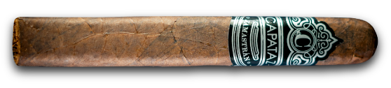 Final-Horizontal-Black-Cazador-with-Shadow